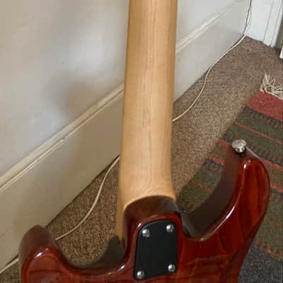 PRS SE Swamp Ash Special image 8