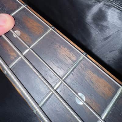 Spector Timbre 2010s - Walnut image 9