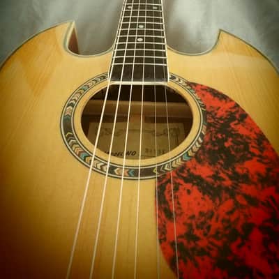 SG Style Acoustic-Electric image 3