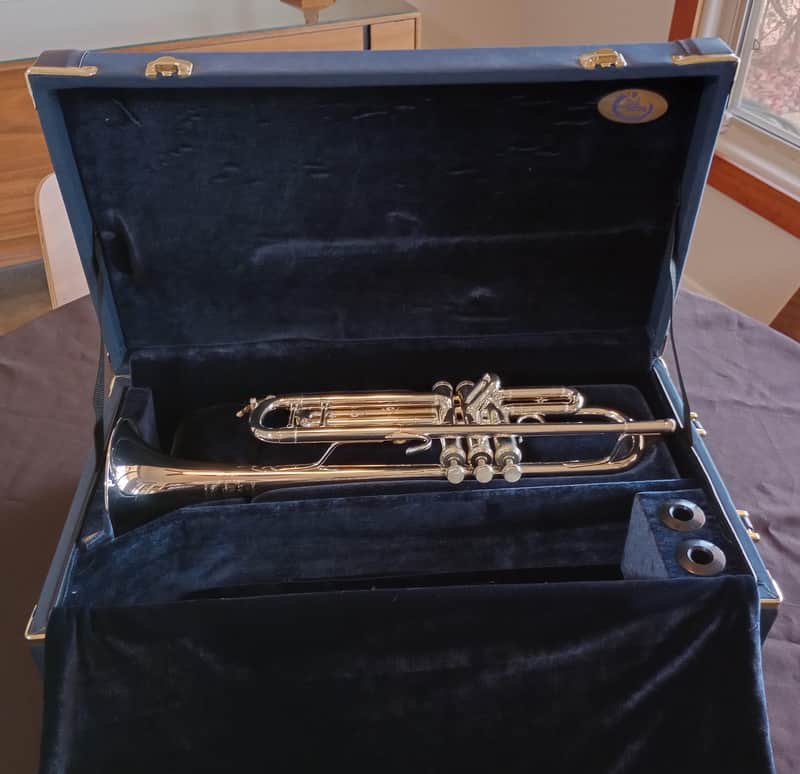 B&S Challenger I series 3137 Bb trumpet 2010s - silver plate image 1