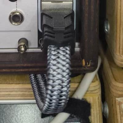 NoisyFruitsLab LAN Connection Module image 2