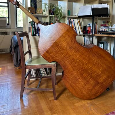 Lemur Removable Neck Upright Bass image 2