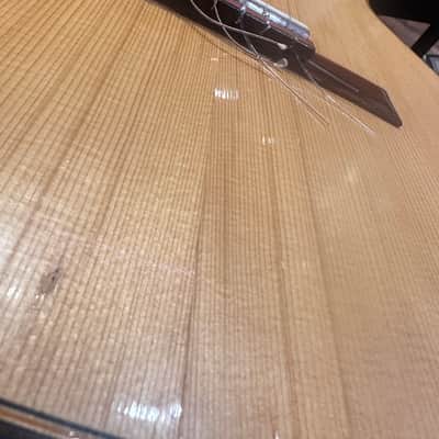 Vintage Giannini AWN71 Acoustic Guitar – Playable, Needs Restoration image 8