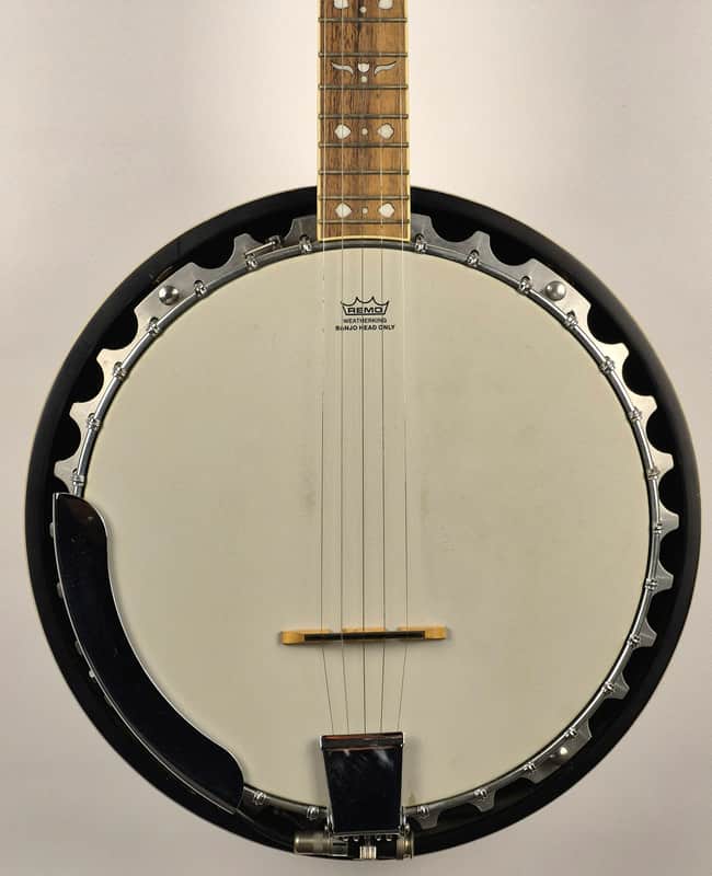 Fender FB-54 5 String Banjo With K&K Pickup and Hard Shell Case image 1