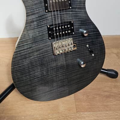 Immagine PRS PRS SE Custom 24 Limited Run Maple Fingerboard 2017 Grey - 2