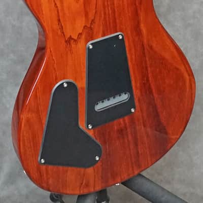 PRS SE Swamp Ash Special 2025 - Vintage Sunburst Finish Super Clean Demo with Bag and Pro Setup image 4