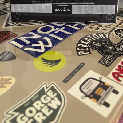 Line 6 25th Anniversary DL4 MkII 2024 - Silver image 2