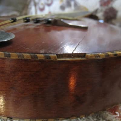 Regal Reverse-Scroll Flatback Mandolin #107 (1914-1935) image 13