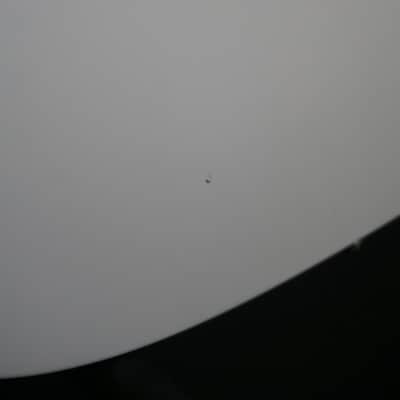 Aristides T/0r 2021 - White image 5