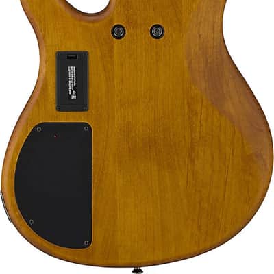 Yamaha TRBX604FM 4-String Bass Guitar, Rosewood Fingerboard, Matte Amber image 3
