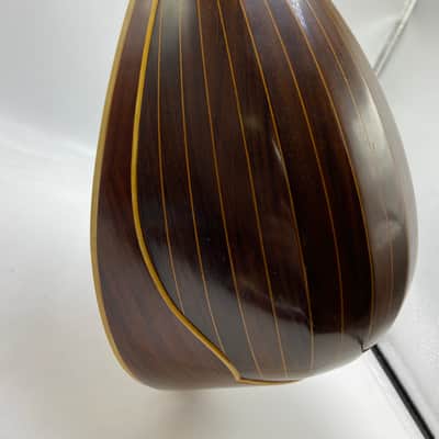 Lyon & Healy Beatle Back Mandolin Bowl Back image 12