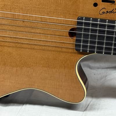 Godin Multiac Grand Concert SA Nylon String Classical Guitar with Case 2012 image 6