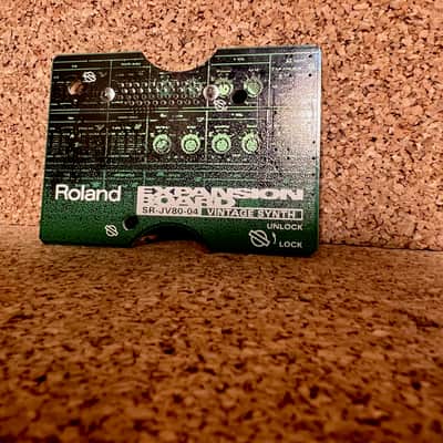 Roland SR-JV80-04 Vintage Synth Expansion Board | Reverb Canada