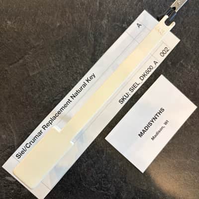 Fatar Replacement A Key (Siel & Crumar Synths) for Siel DK-600, Opera 6, DK-700, DK-80; Crumar Bit One, Bit 99