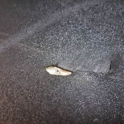 90's PEAVEY BASS CASE fits P BASS image 10