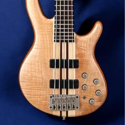 LAKLAND SK-44-AJ (Black Cherry) -Made in Japan- /Used | Reverb