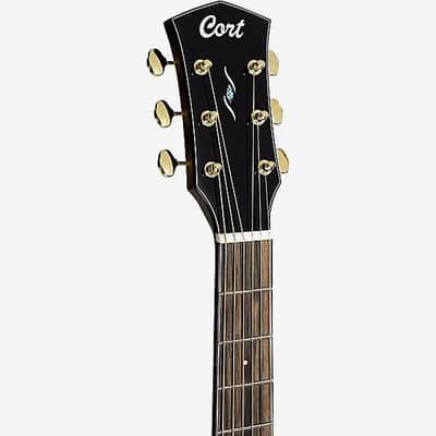 Cort Gold Series Gold-OC6 Bocote w/ Case, Bocote combines beauty, strength, and a distinctive tonal character, See Video, B-Stock image 12