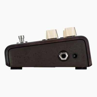 Lr Baggs Align Series Delay Pedal image 4