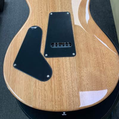 PRS SE Custom 24 - 2023 - Turquoise image 2