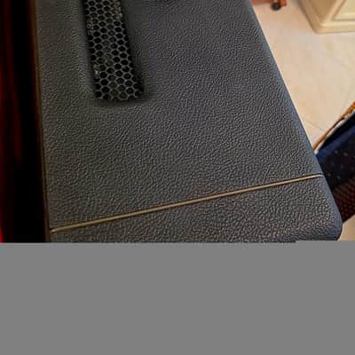 Friedman BE-100 Brown Eye Custom "Marsha"  Original Run  2-Channel 100-Watt Guitar amp Head image 7