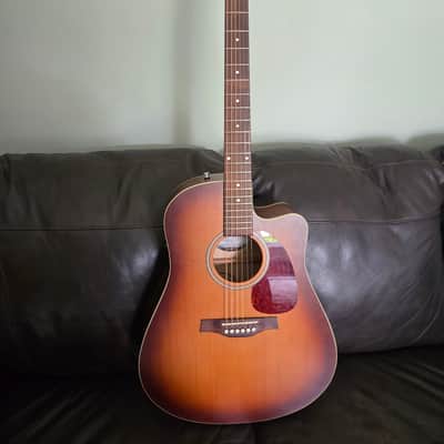 *With Case, Strap and Capo* Seagull Entourage Dreadnought CW QIT 2010s - Autumn Burst image 1