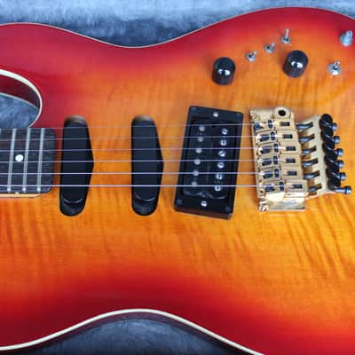 Franken-Tele w/h extra original Floyd rose bridge image 3
