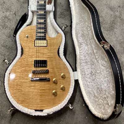 Gibson Les Paul 2008 Push-Tone —  Guitar of the Month w/HSC and All Pickup Sets image 9