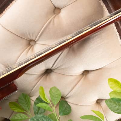 Greco EG-480S 1974 - Cherryburst image 17