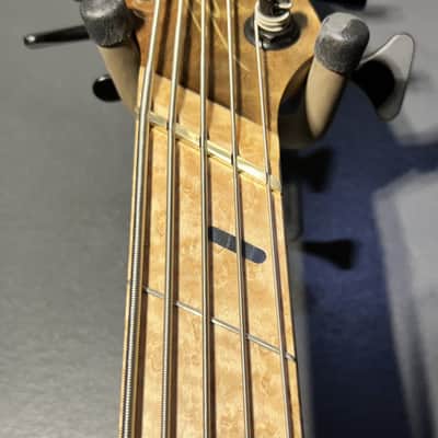 Dingwall 5 string Quad LowEnd Slim image 5