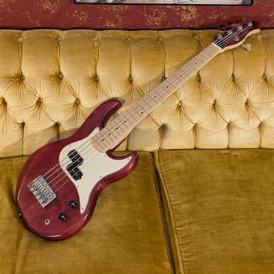 Alien Audio Constellation 5 String Bass image 2