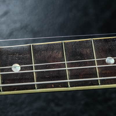 1928 Levin Model T 175 Tenor Banjo image 14