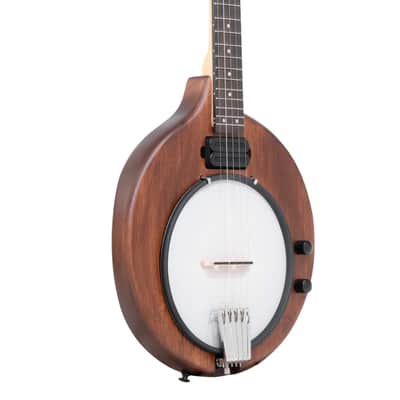 Gold Tone EB-5 Solid Body Mahogany Top Maple Neck 5-String Electric Banjo with Gig Bag image 1