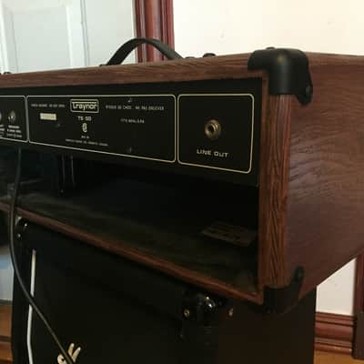 Traynor TS-50 Vintage Amplifier Head in Custom Cab image 5