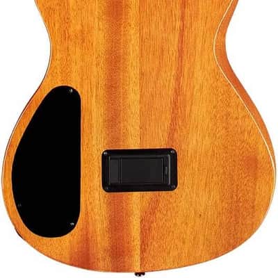 Cordoba Stage Amber - Semi Hollow Body Nylon String Acoustic Electric - 2023 image 6