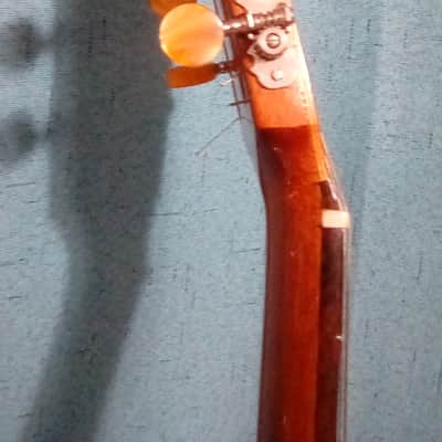Beautiful Rare DiGiorgio Brazilian Classical Guitar Guarany C2 1979 image 8