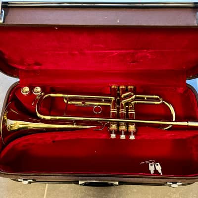 Parrot Trumpet model NO.6416 image 4
