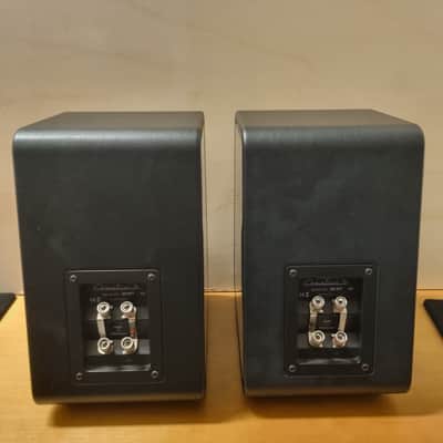 SONUS FABER Chameleon B 2015 - Black image 3