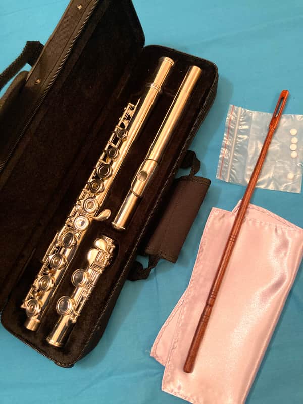 Unbranded-Step Up Student Model Flute-Open Hole, C Foot Split E-Case and Extras! image 1