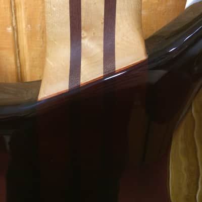 Peavey Cirrus Tiger eye USA image 11