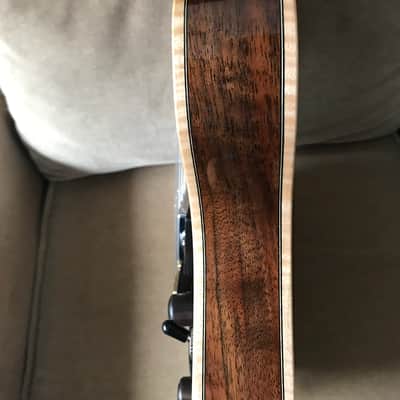 Paul Languedoc G2 2011 Claro Walnut image 9