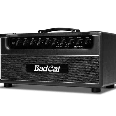 Bad Cat Amplifiers Hot Cat Head 45W 2 Channel Amp Direct Ship image 2
