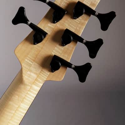Fodera Imperial Elite 5 - Flame Maple Top image 10