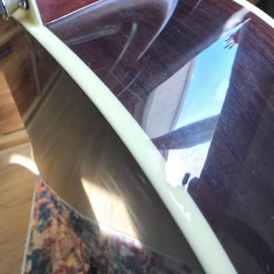Alvarez  AP70e image 3
