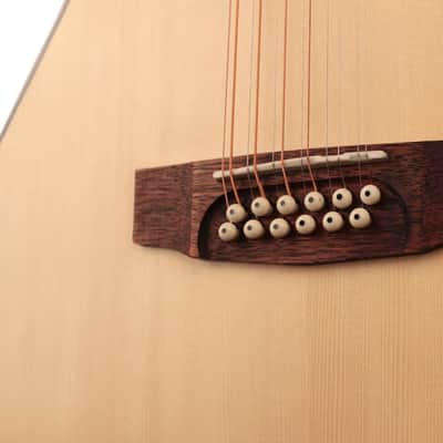 Cort GA-MEDX-12 | 12-String Acoustic / Electric Guitar. New with Full Warranty! image 5