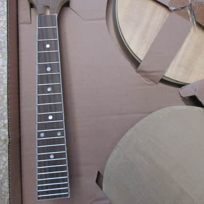 Saga AM-10 Build Your Own Mandolin Kit Build Kit image 3
