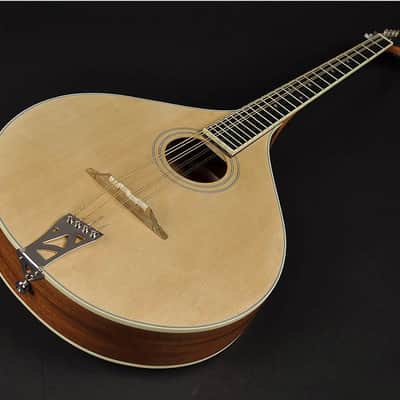 Richwood Master Series RIBZ-40 Irish Bouzouki image 3