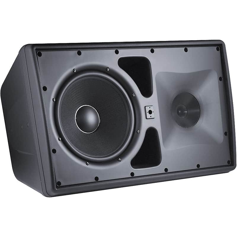 JBL Control 30 10" Three-Way Indoor/Outdoor Speaker Regular Black image 1
