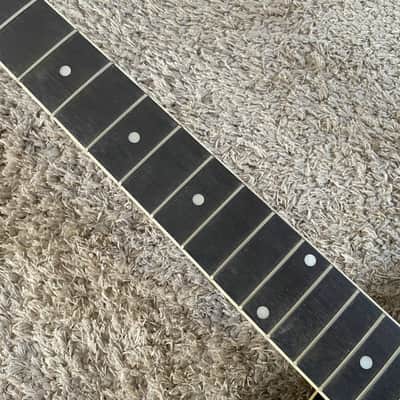 Ibanez Talman Acoustic Electric Guitar, Mahogany Plywood Top Body, Rosewood Fingerboard Neck image 24