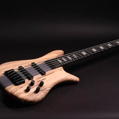 Spector CST limited Edition 2026 - Spalted Maple image 6