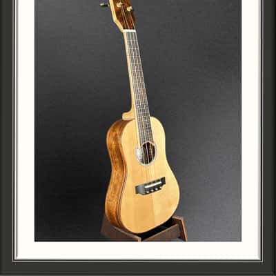 MachMachines Concert "D" Ukulele 2023 image 1